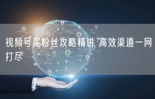 视频号买粉丝攻略精讲 高效渠道一网打尽