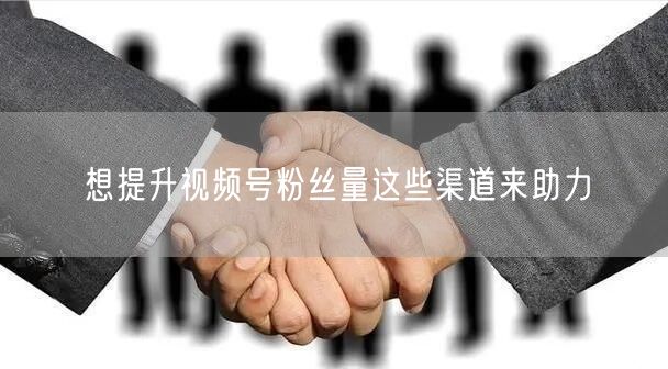 想提升视频号粉丝量这些渠道来助力
