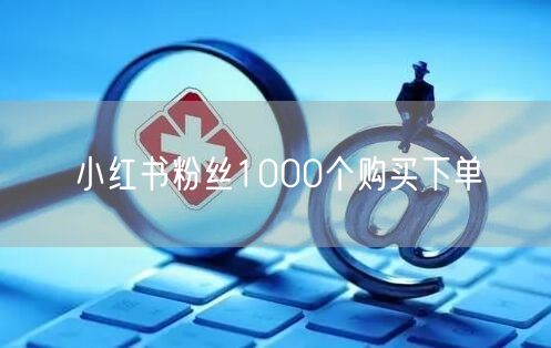 小红书粉丝1000个购买下单