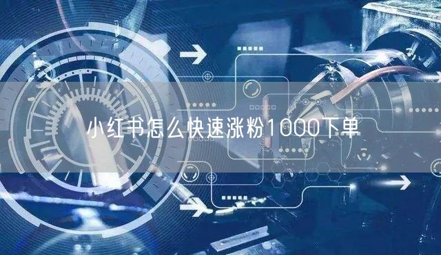 小红书怎么快速涨粉1000下单