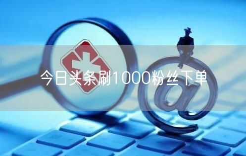 今日头条刷1000粉丝下单