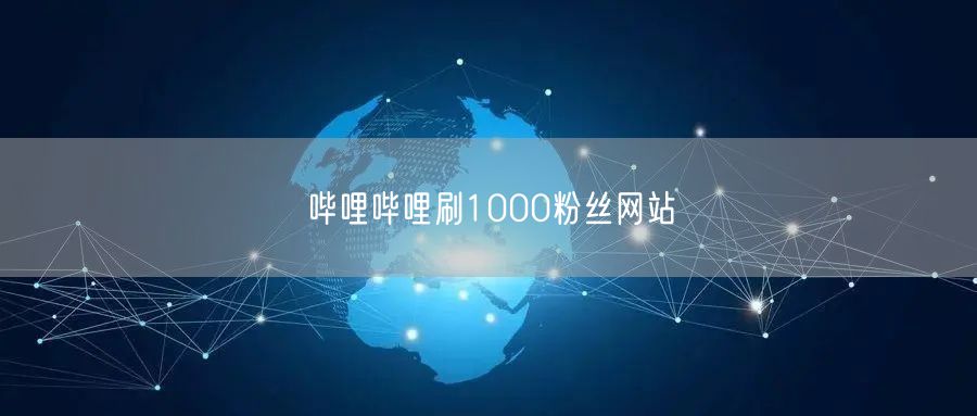 哔哩哔哩刷1000粉丝网站