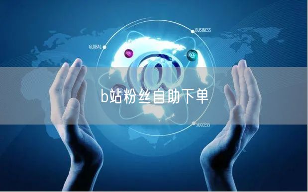 b站粉丝自助下单
