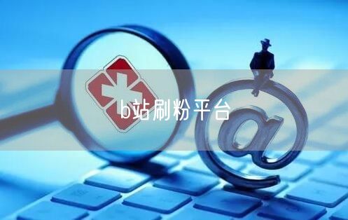 b站刷粉平台