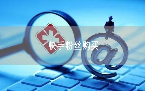 快手粉丝购买