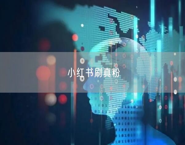 小红书刷真粉
