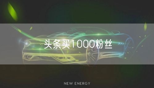 头条买1000粉丝