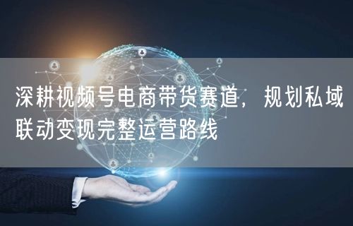 深耕视频号电商带货赛道，规划私域联动变现完整运营路线