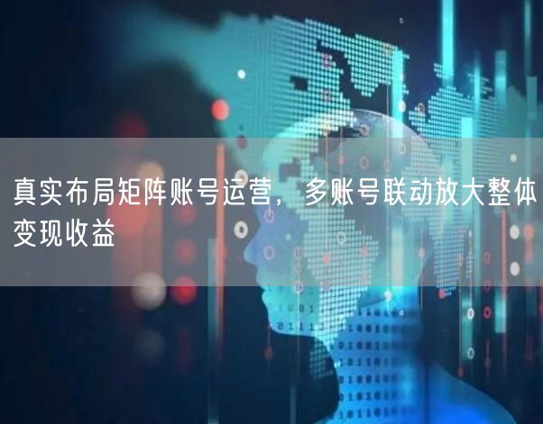 真实布局矩阵账号运营，多账号联动放大整体变现收益