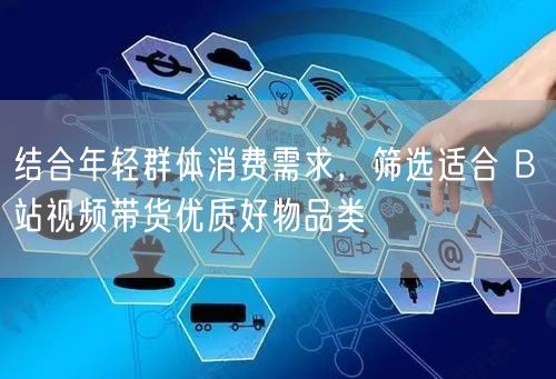 结合年轻群体消费需求，筛选适合 B 站视频带货优质好物品类